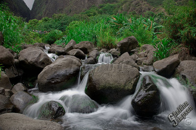 90811_Hawaii08_0T4Y7640.jpg