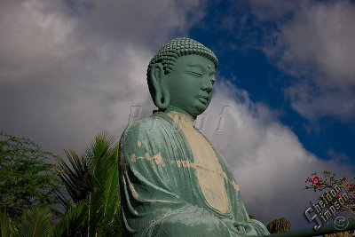 90840_Hawaii08_0T4Y7669.jpg