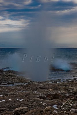 93458_Hawaii08_S3_8653.jpg