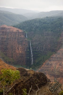 93331_Hawaii08_S3_8526.jpg