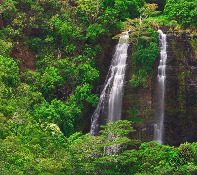 92764_Hawaii08_0K9R1700.jpg