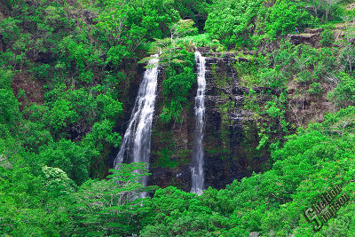 91699_Hawaii08_0K9R1675.jpg