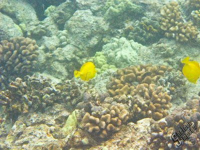 IMG_1329.jpg
