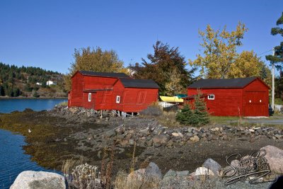 74198_NewfoundlandFishing.jpg