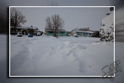102212_Dec09_D3S5454.jpg