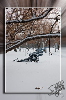 102243_Dec09_D3S5485-2.jpg