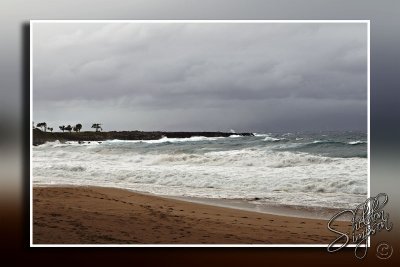 102790_Maui10_74D9361.jpg