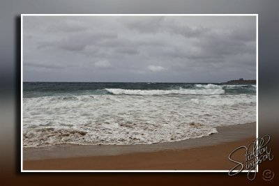 102797_Maui10_74D9368.jpg