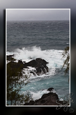 102805_Maui10_74D9379.jpg