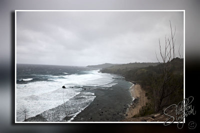 102903_Maui10_D3S5916.jpg