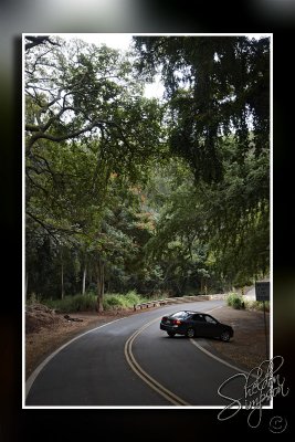 102931_Maui_10_D3S5944.jpg