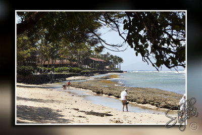 102972_Maui10_74D9457.jpg