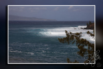 103155_Maui10_D3S6024.jpg