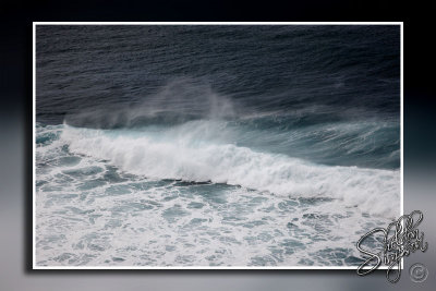 103159_Maui10_D3S6028.jpg