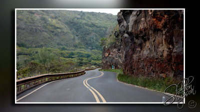 103174_Maui10_D3S6043.jpg