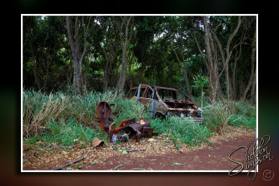 103179_Maui10_D3S6048.jpg