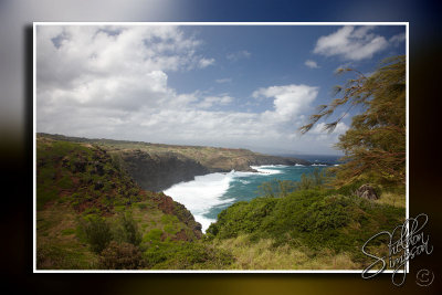 103211_Maui10_D3S6080.jpg