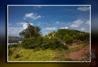 103217_Maui10_D3S6086.jpg