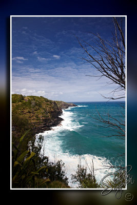 103232_Maui10_D3S6101.jpg