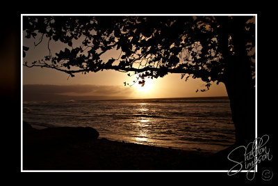 103305_Maui10_74D9637.jpg