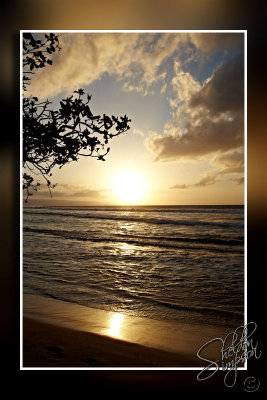 103314_Maui10_74D9649.jpg