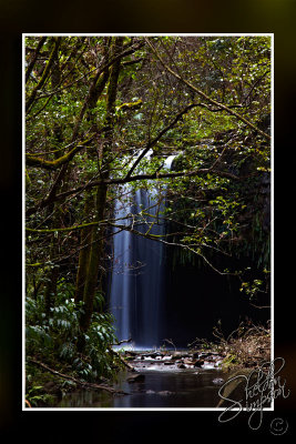 103474_Maui10_74D9819.jpg