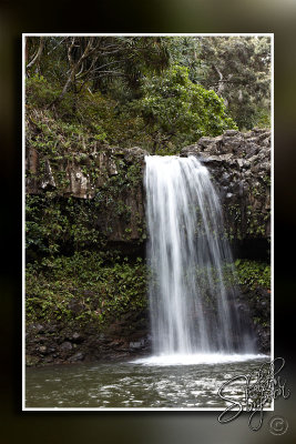 103484_Maui10_74D9829.jpg