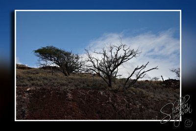 103638_Maui10_K9R3948.jpg