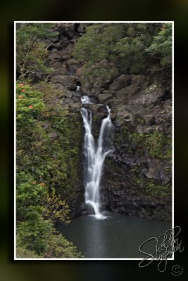 103639_Maui10_74D9912.jpg