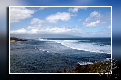 103700_Maui10_K9R3951.jpg