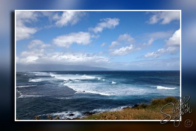 103710_Maui10_K9R3961.jpg
