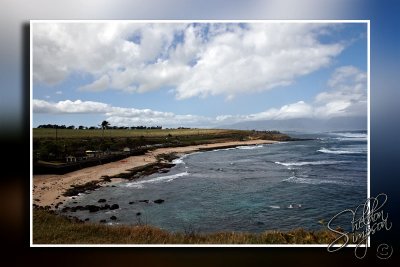 103711_Maui10_K9R3962.jpg
