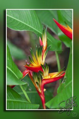 104549_Maui10_D3S6595.jpg