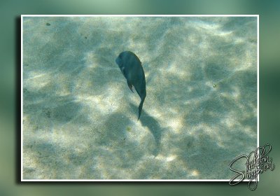 IMG_8961.jpg