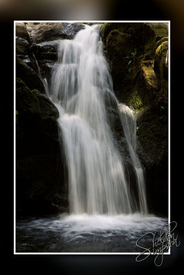 105591_Maui10_74D0189.jpg