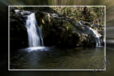 105618_Maui10_74D0216a.jpg