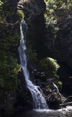 105647_Maui10_74D0246.jpg