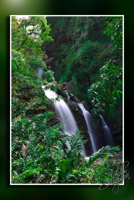 105690_Maui10_74D0289.jpg
