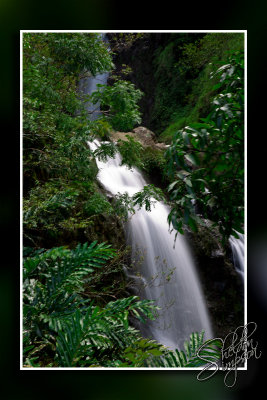 105740_Maui10_74D0339.jpg