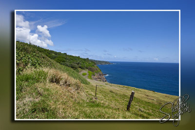 105864_Maui10_D3S6739 copy.jpg