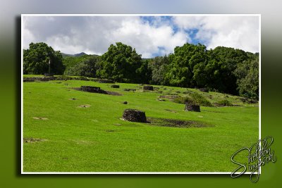 105878_Maui10_D3S6753 copy.jpg