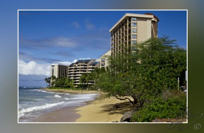 106078_Maui10_74D0401.jpg