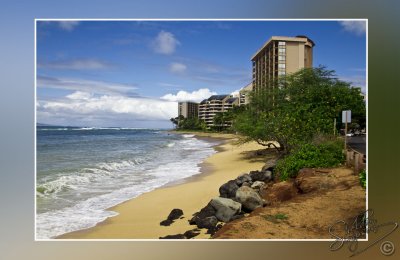 106085_Maui10_74D0410.jpg