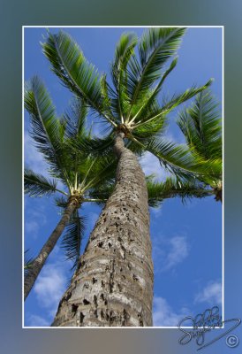 106359_Maui10_74D0579.jpg