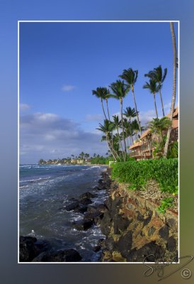 106384_Maui10_74D0606.jpg
