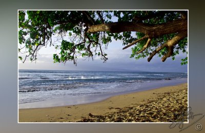 106423_Maui10_74D0650.jpg