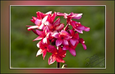 106012_Maui10_