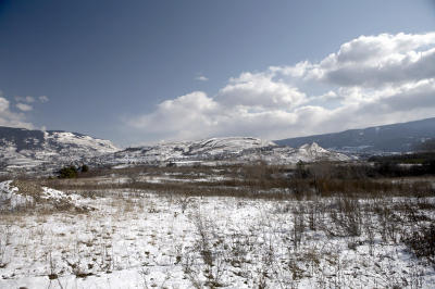 02859_Feb06_5D.jpg