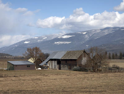 02913_Feb06_5D.jpg