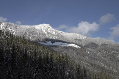 02933_Feb06_5D.jpg